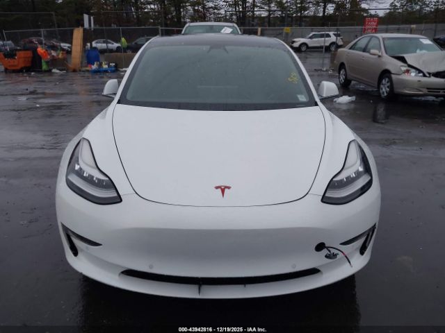 Tesla Model 3 Image 5