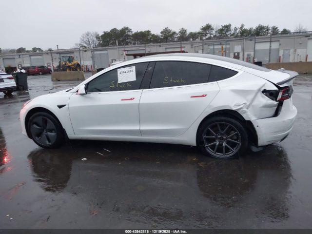 Tesla Model 3 Image 8