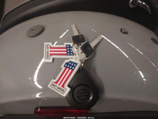 Harley-Davidson Fxlrst Image 7