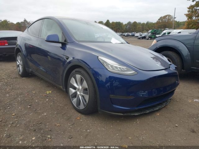 Tesla Model Y Image 1
