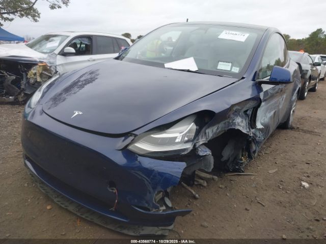 Tesla Model Y Image 17