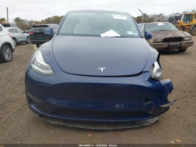Tesla Model Y Image 10