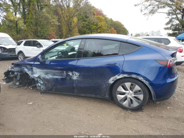 Tesla Model Y Image 15