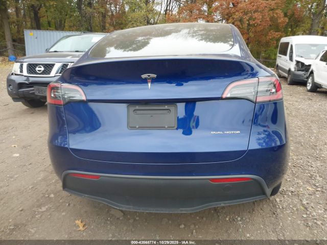 Tesla Model Y Image 7