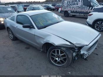  Salvage Ford Mustang