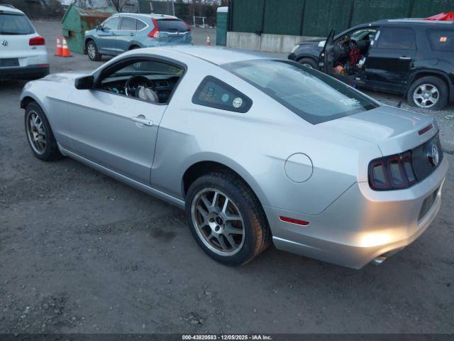 Ford Mustang V6 Image 2
