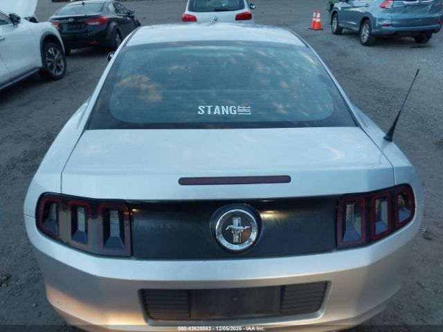 Ford Mustang V6 Image 4