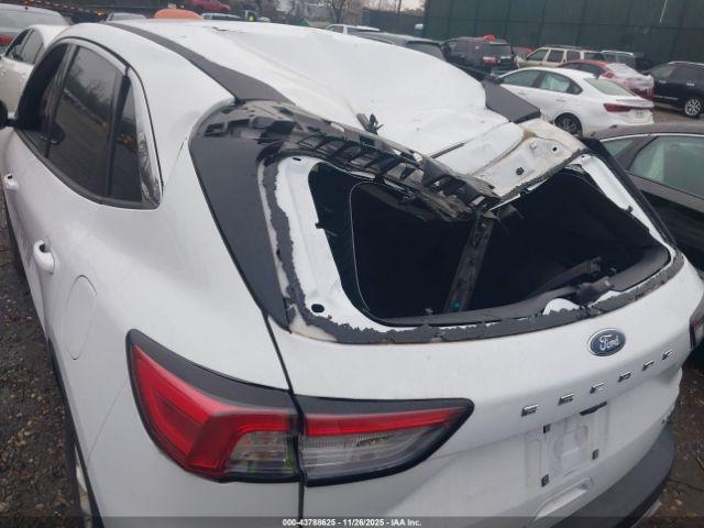 Ford Escape Se Image 14