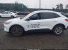 Ford Escape Se Image 11