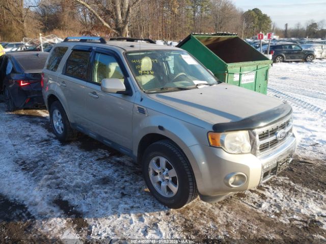 Ford Escape Limited Image 1