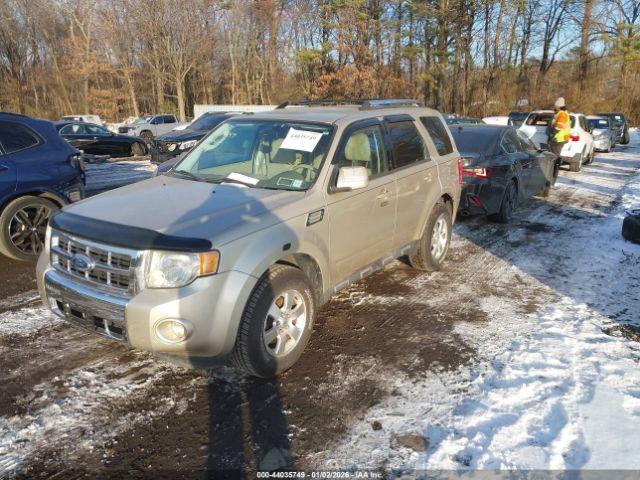 Ford Escape Limited Image 3