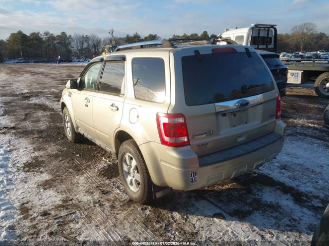 Ford Escape Limited Image 11