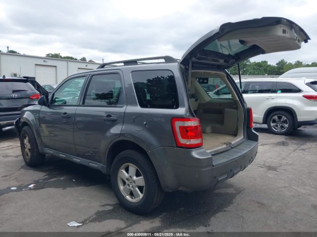 Ford Escape Xlt Image 2