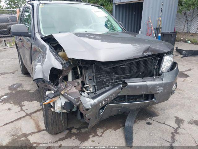 Ford Escape Xlt Image 3