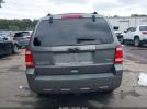 Ford Escape Xlt Image 13