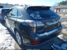 Lexus RX Image 2