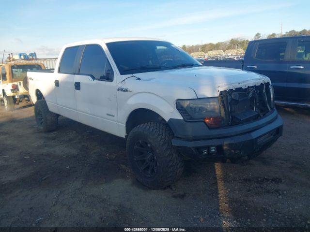  Salvage Ford F-150