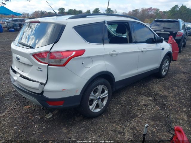 Ford Escape Se Image 6