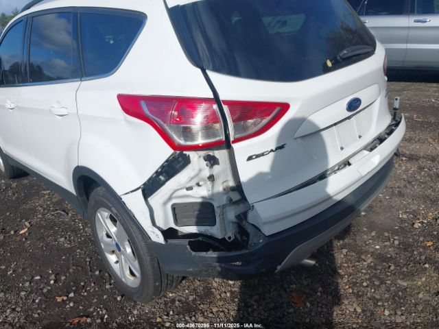 Ford Escape Se Image 5