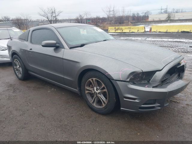 Ford Mustang V6 Premium Image 1