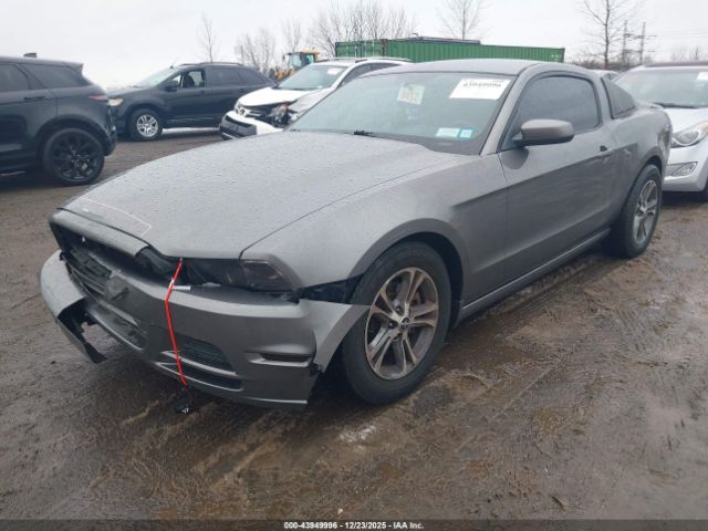 Ford Mustang V6 Premium Image 3