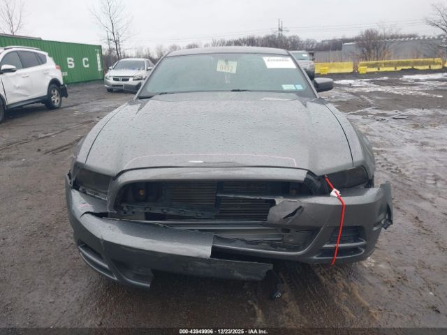 Ford Mustang V6 Premium Image 12