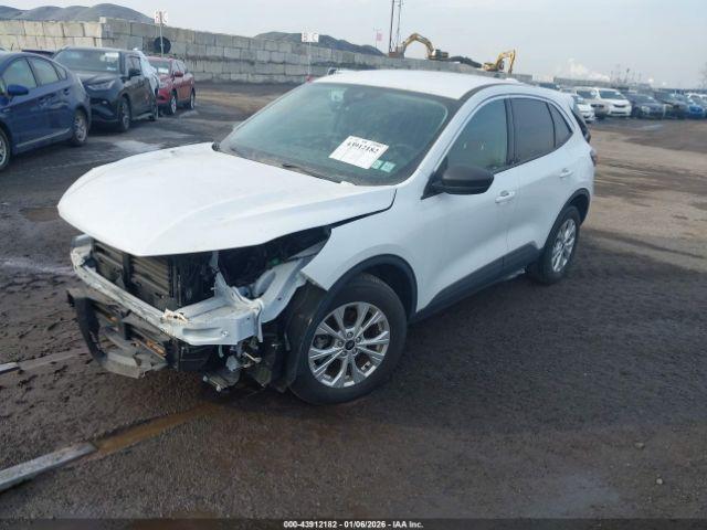 Ford Escape Active Image 6