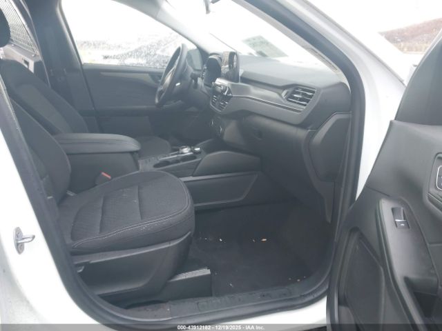 Ford Escape Active Image 8