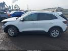 Ford Escape Active Image 5