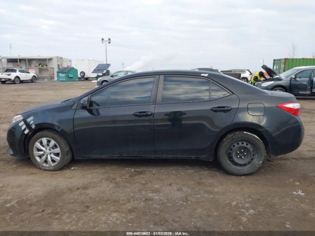 Toyota Corolla Le Image 12