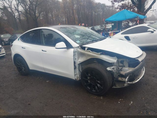 Tesla Model Y Long Range Dual Motor All-wheel Drive Image 7