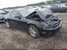 Ford Mustang V6 Image 1
