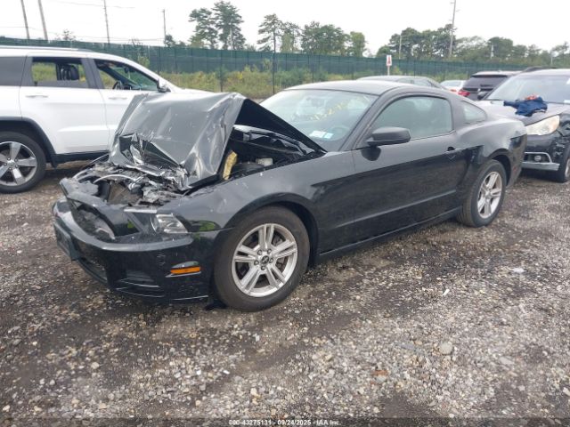 Ford Mustang V6 Image 4