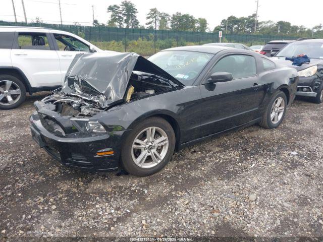 Ford Mustang V6 Image 4