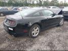 Ford Mustang V6 Image 15