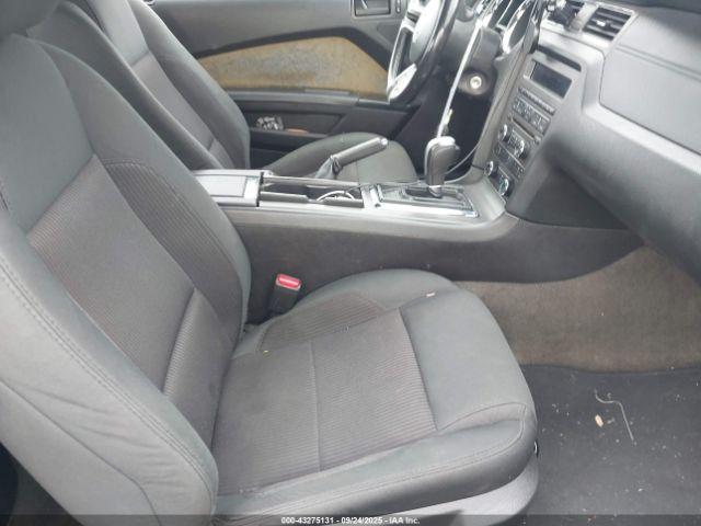 Ford Mustang V6 Image 5