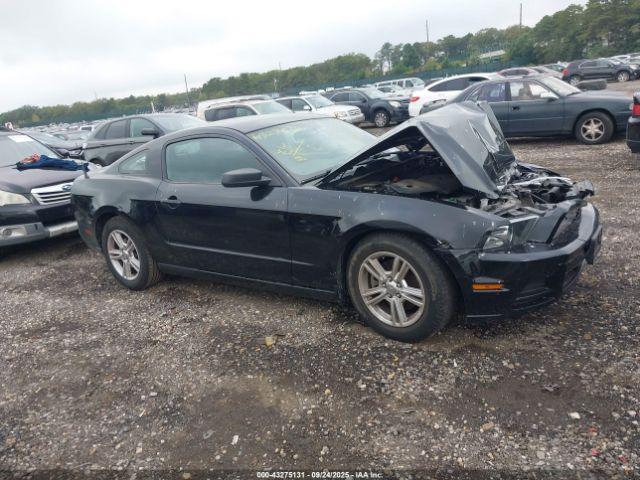 Ford Mustang V6 Image 11