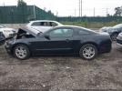 Ford Mustang V6 Image 16