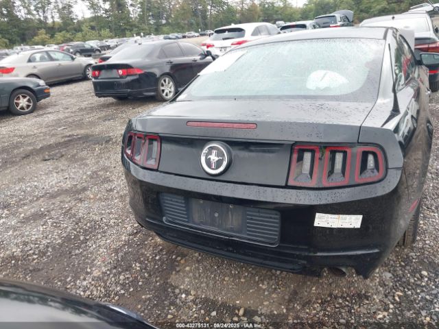 Ford Mustang V6 Image 2