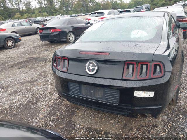 Ford Mustang V6 Image 2