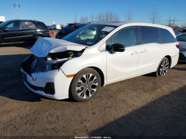 Honda Odyssey Elite Image 8