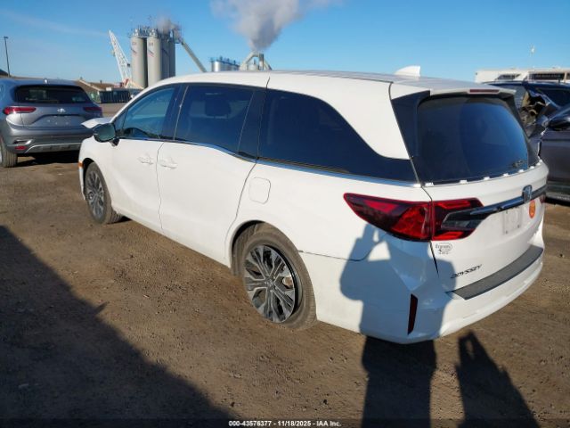 Honda Odyssey Elite Image 4