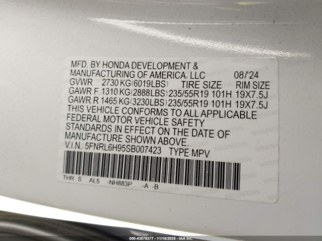 Honda Odyssey Elite Image 2