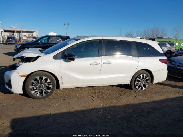 Honda Odyssey Elite Image 3