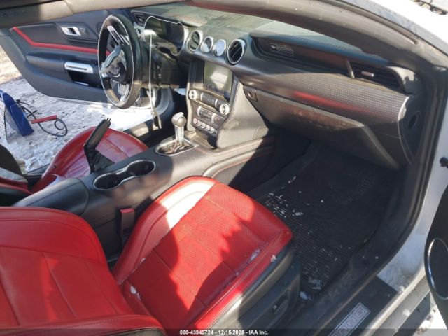 Ford Mustang Gt Premium Image 3