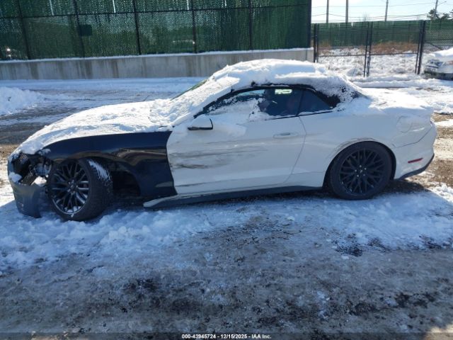 Ford Mustang Gt Premium Image 10