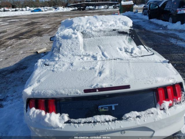 Ford Mustang Gt Premium Image 13