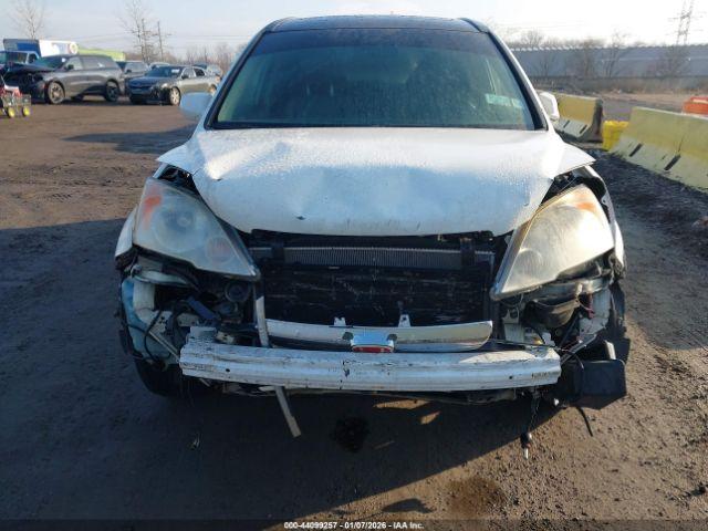 Honda CR-V Ex-l Image 10