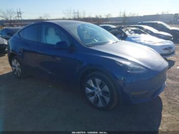 2023 Tesla Model Y 7SAYGDEE6PA******