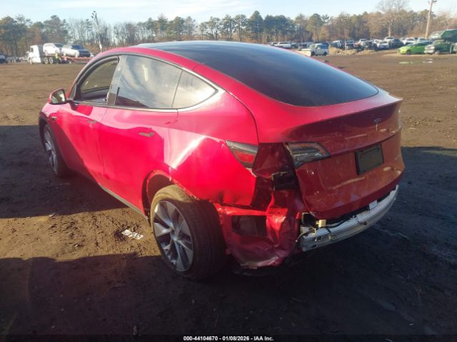 Tesla Model Y Image 2